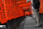 JapaneseRed＿譚源