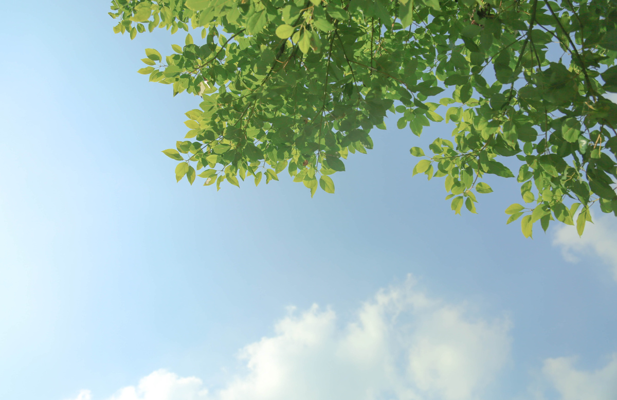 不缺风景,抬头便是 - 风光, 佳能 - 小小摄影师M