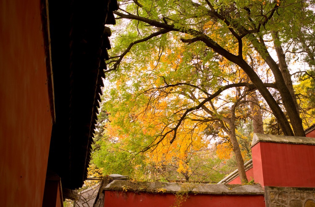 北京大觉寺秋色