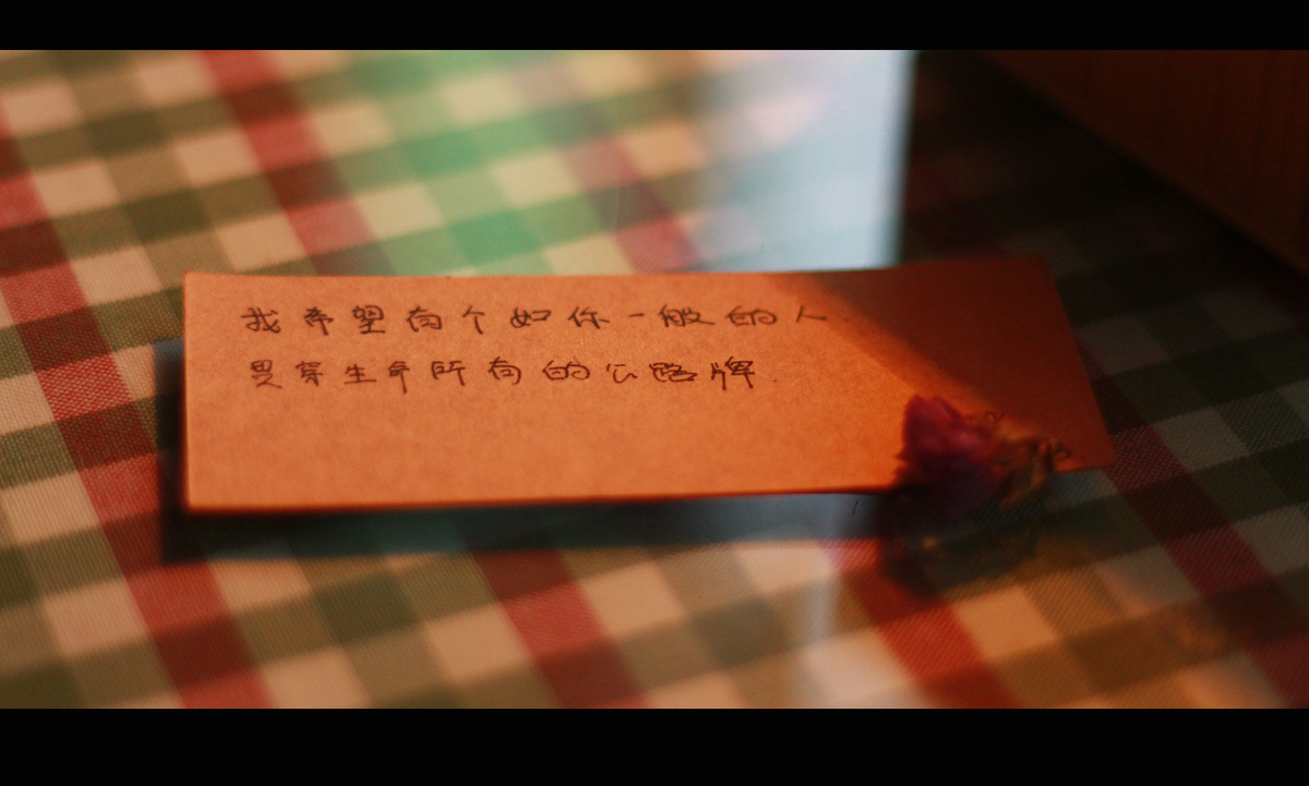 我希望有个如你一般的人 贯穿生命所有的公路