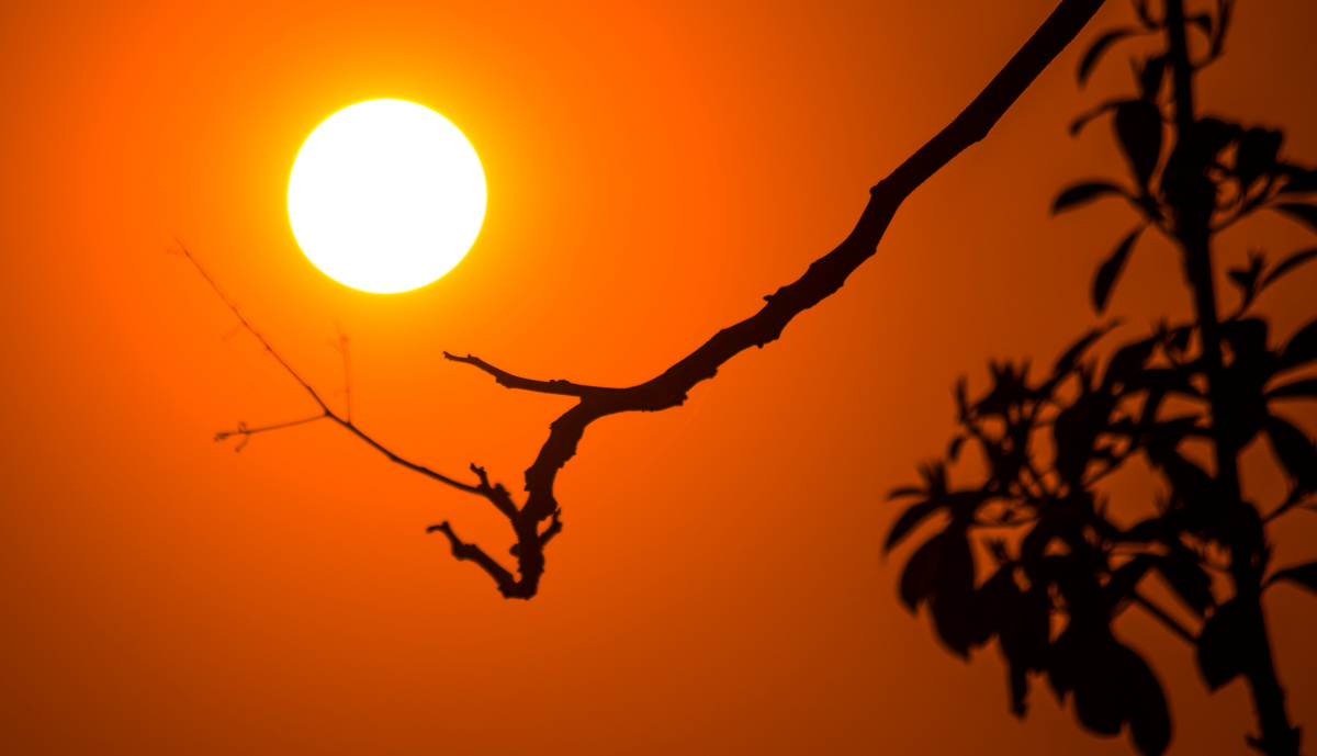 春 - 宾得, 花卉 - 青春流年