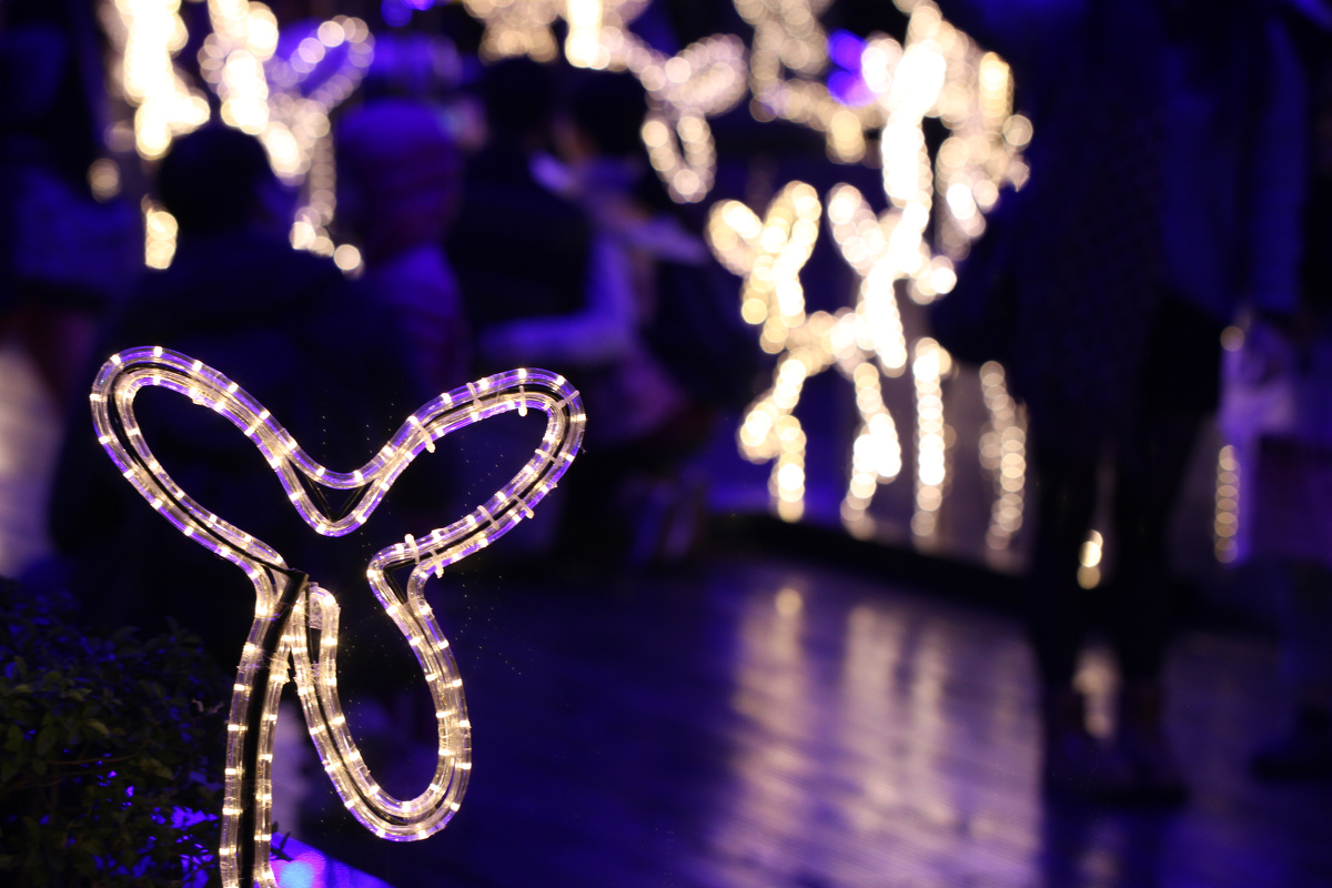 香港沙田新城市广场,透明迷宫 - 香港, 圣诞, 光