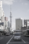 sky tree  