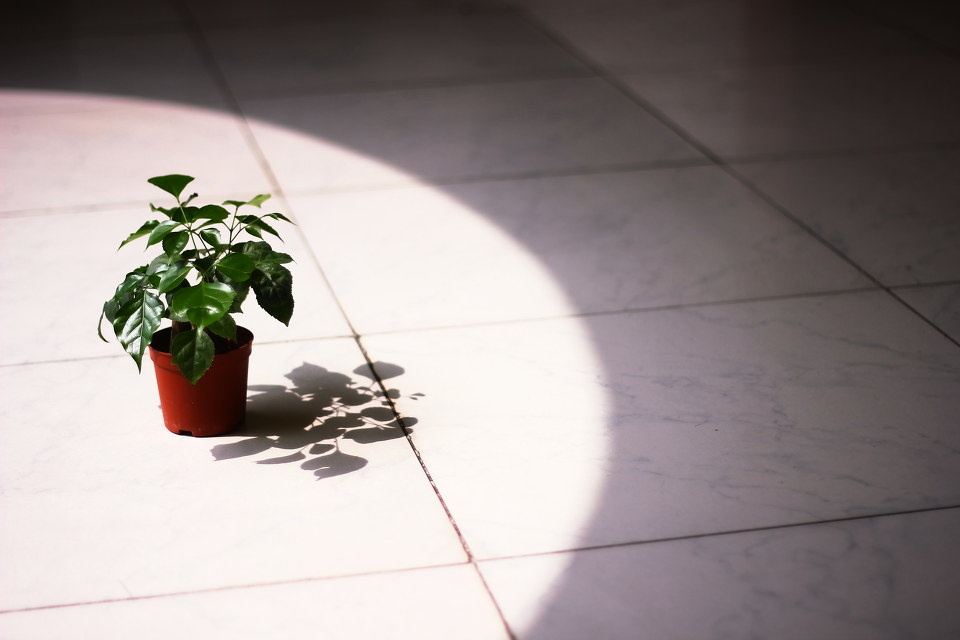 心中的阳光+-+心中的阳光