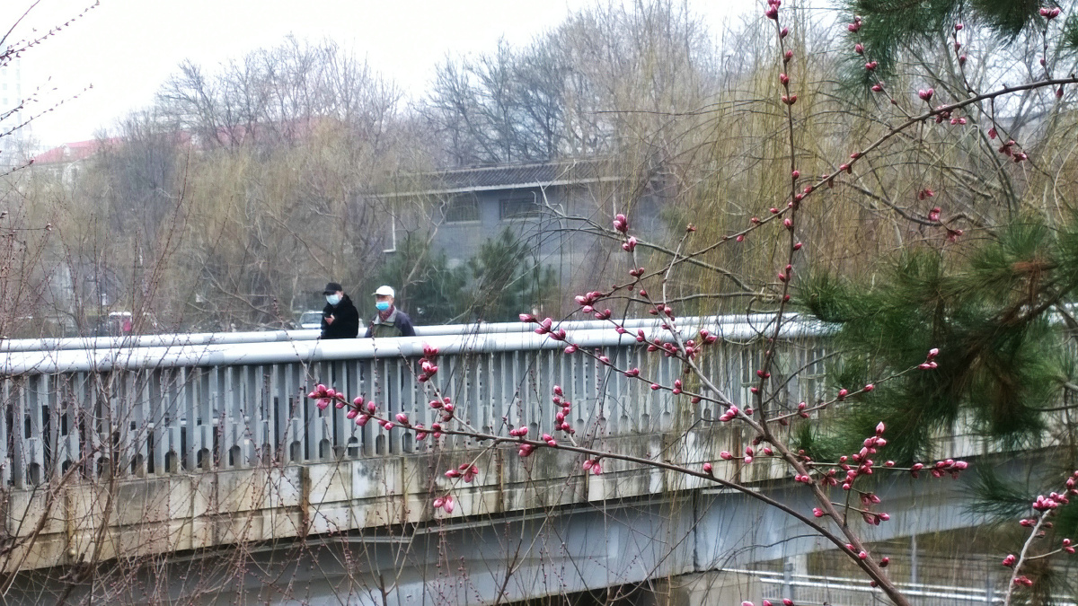 日出之前的河谷 - 喀纳斯, 尼康, 峡谷, AF35-70