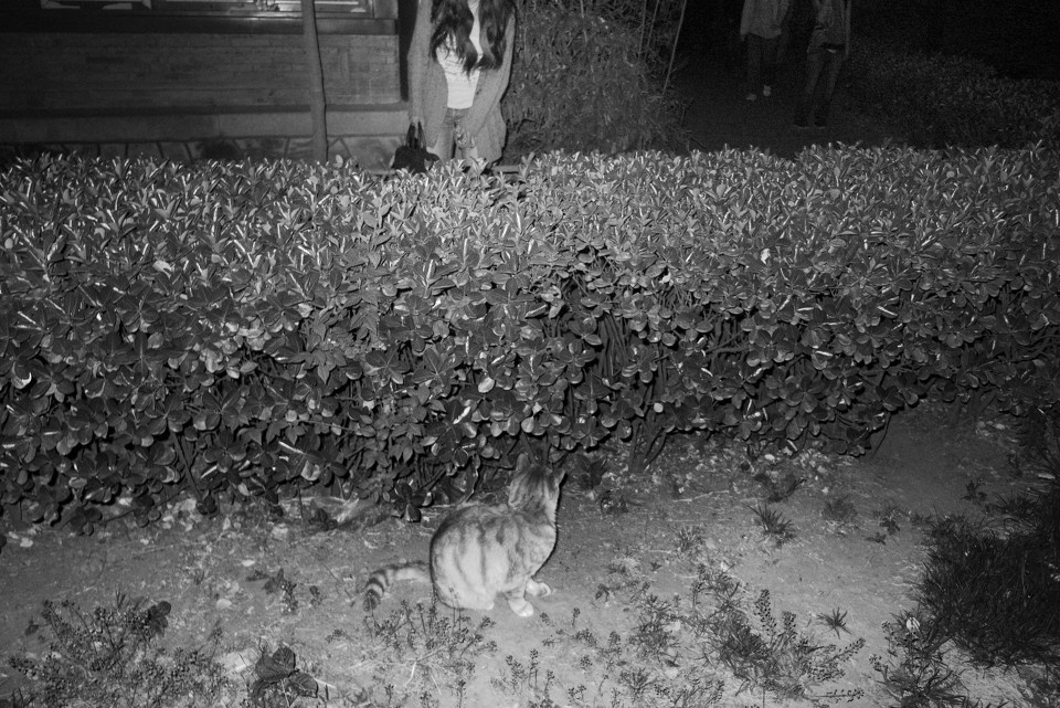 <em>长头发</em> - <em>北京</em>, DEAB, 黑白, 2011, 纪实, 生物, 动