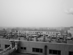 P1010781