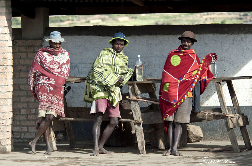 马达加斯加gdp_马达加斯加的企鹅(2)