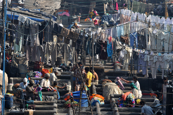 孟买的洗衣工厂 - 拨云见月 - 人文宣传窗口