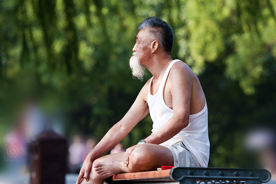 近义词纳凉静寂遥望沉睡