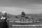 观