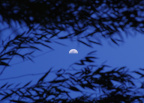 moonrise
