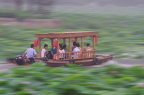 荷塘冲锋舟