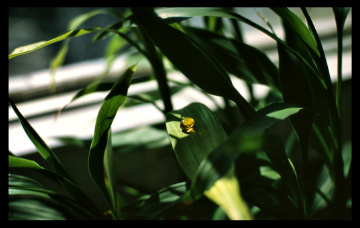 img005 (2)