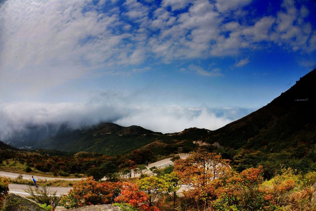 云蒸雾霭--大帽山 - 风光, 尼康, 香港, 色彩 - 行云