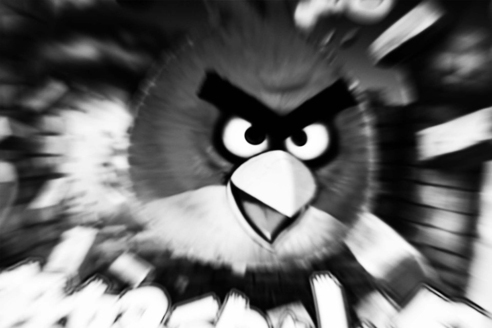 愤怒的小鸡_图片大全