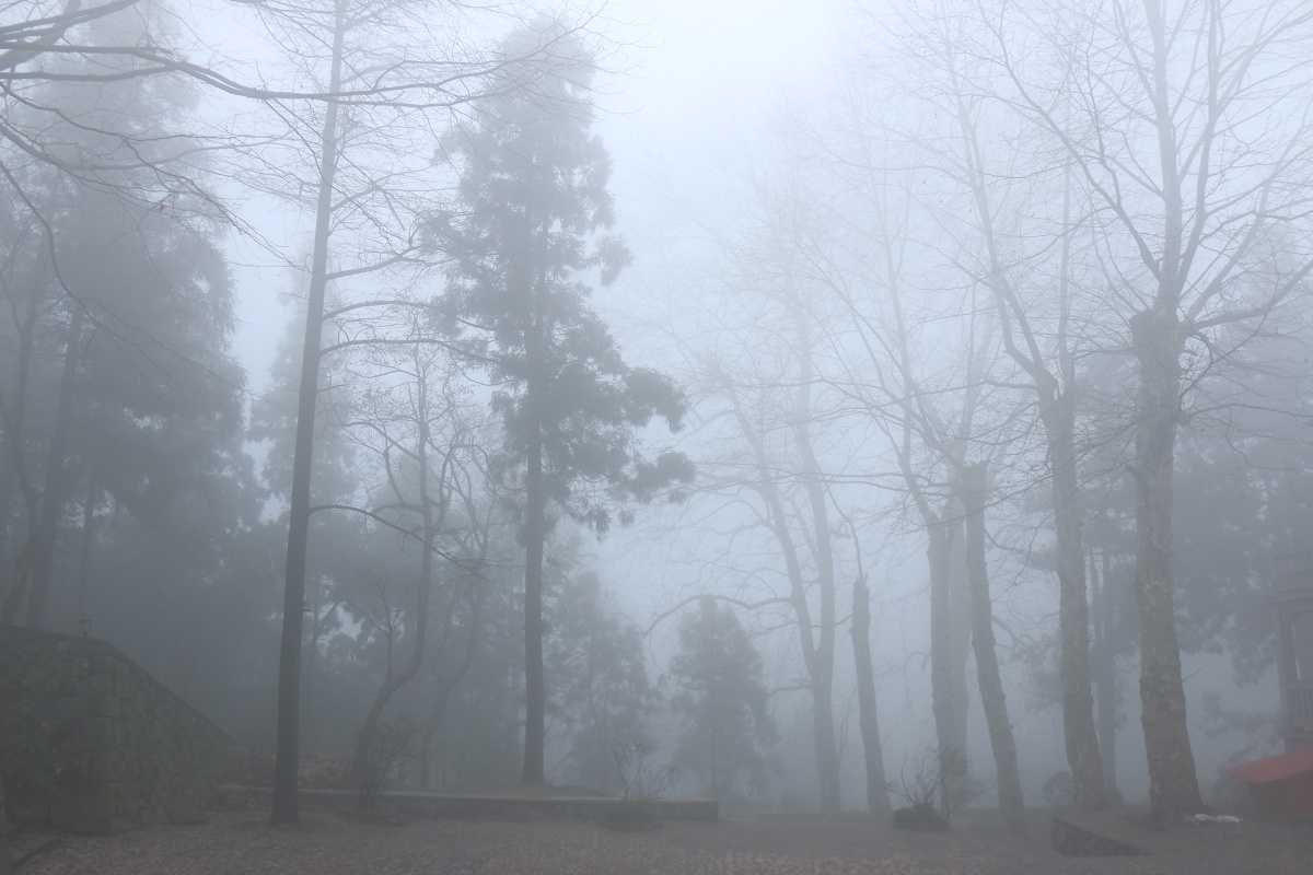 雾中风景 Part1 - 风光, 佳能, 莫干山 - qw0aszx - 图虫摄影网