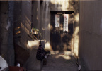 20111211-Untitled-4