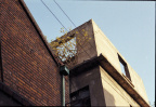 20111211-Untitled-6