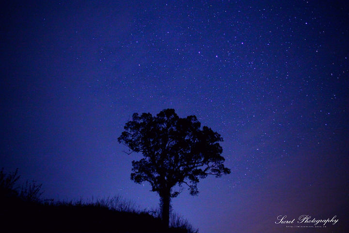 @婺源 <em>北斗七星</em> - 刘顺儿妞 Secret - 风光摄影 