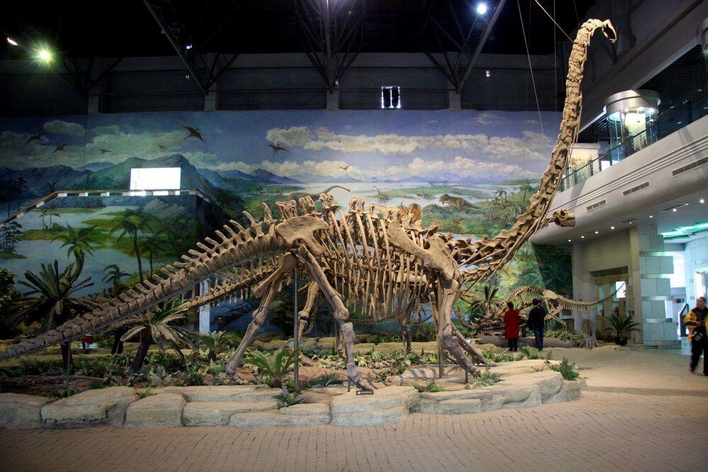 Zigong dinosaur museum 自贡恐龙博物馆 - 四川, 自贡恐龙博物馆, 化石群, 遗址, 自贡, 大山铺, 旅游 - 独歌 - 图虫摄影网