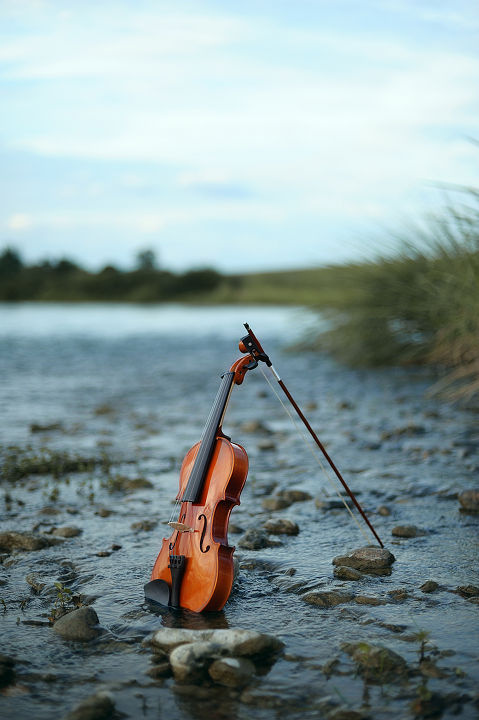 在水一方小提琴谱分享_在水一方小提琴谱图片