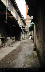 恍惚中奔跑