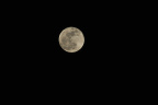 _DSC9051_01