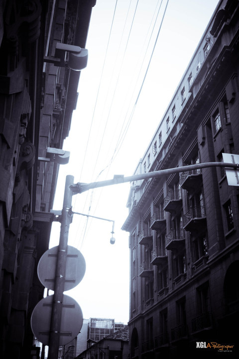 『IDEAL AND REALITY』