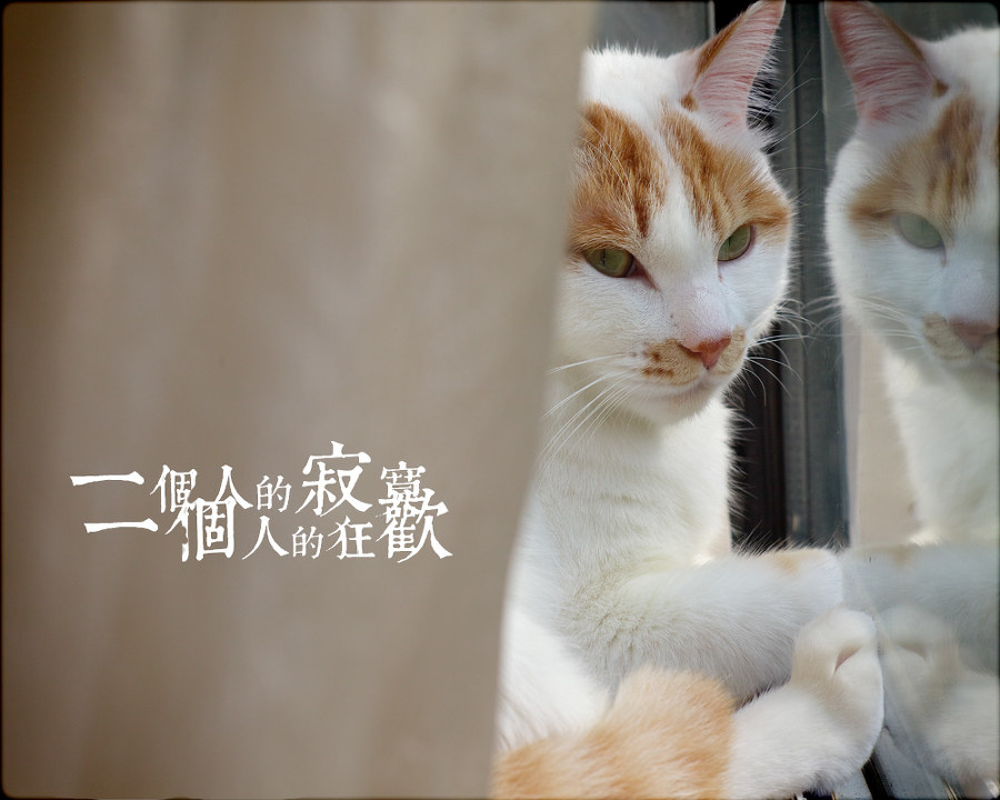 寂寞是一个人的狂欢 - 余风92