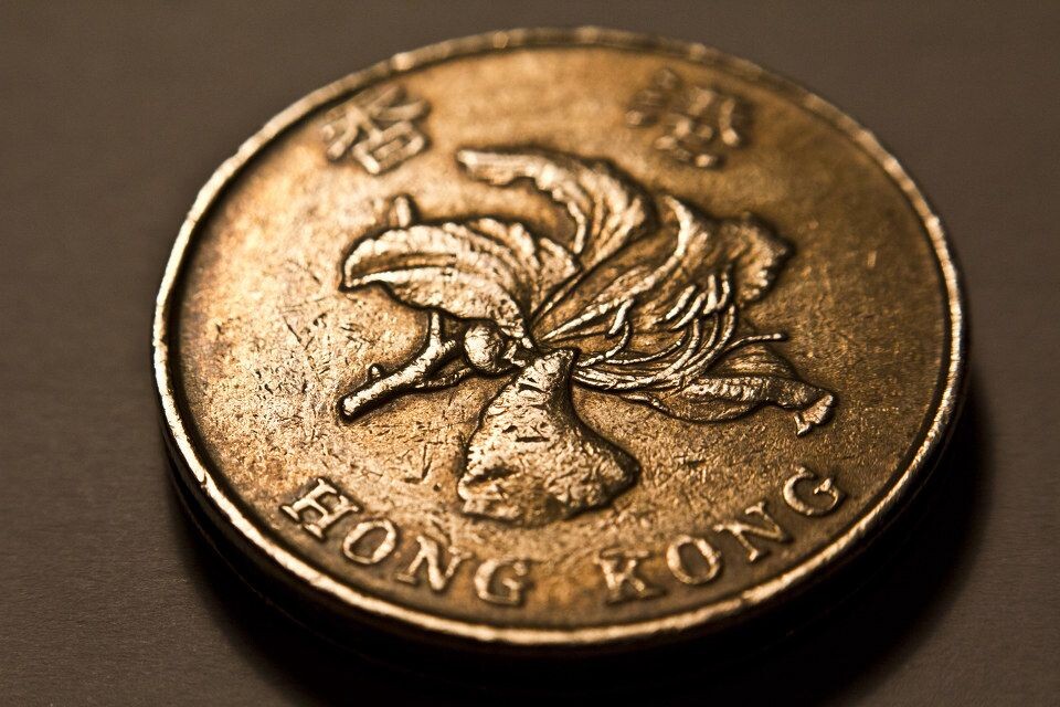 图片 港币 20 元 硬币 图片 港币 20 元 硬币