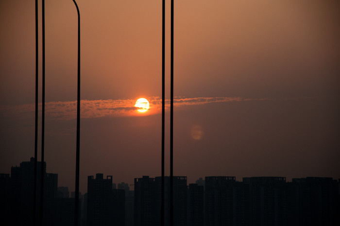 该回家了 - dinoyeung