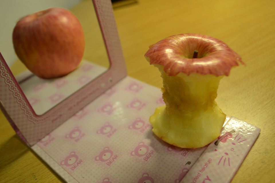 理想很丰满,现实很骨感.创意摄影作业