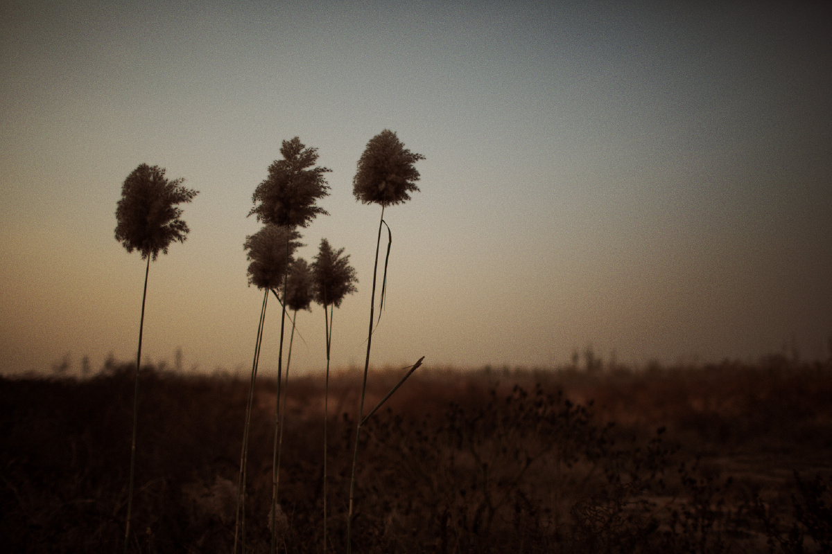 如果 你能让她降落 - tao_minutes