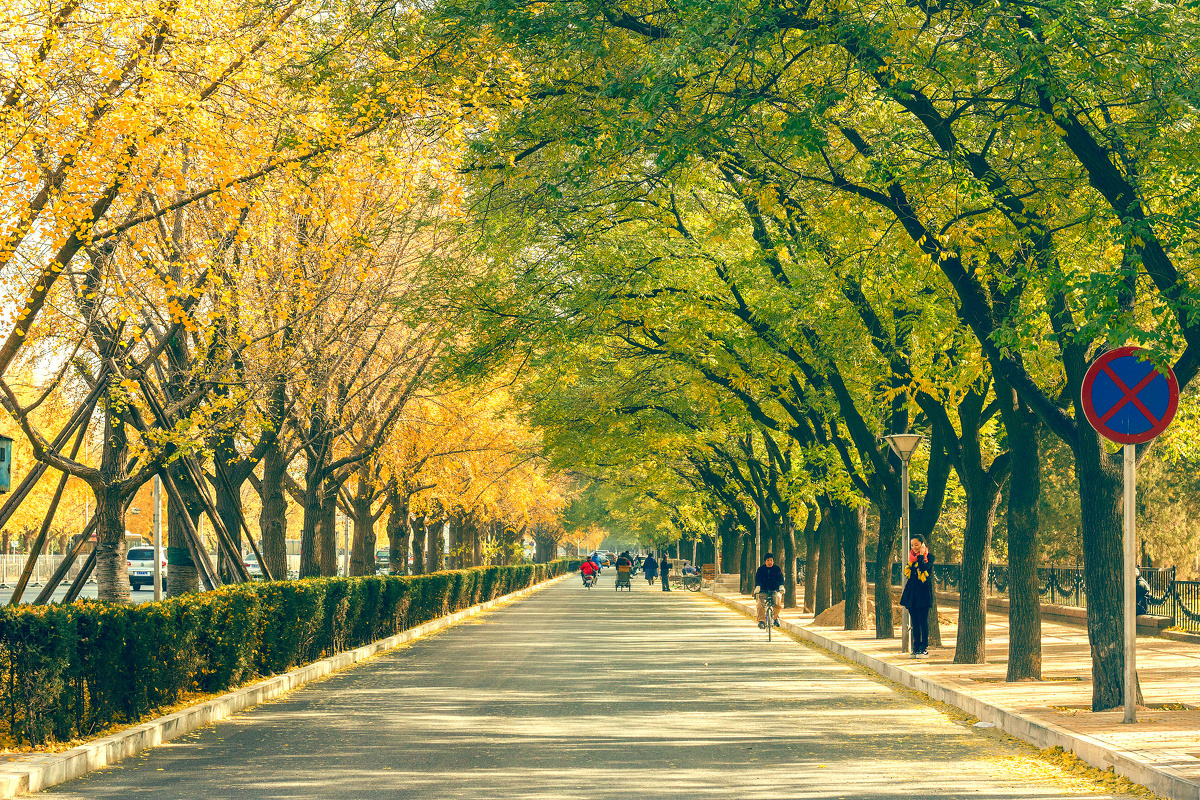 一个像夏天一个秋天 - 城市, 风光, 色彩, 佳能, 北