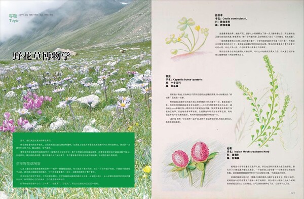 第二期的杂志专题扉页 第四期慢度杂志选题. 第四期慢度杂志选题.图片