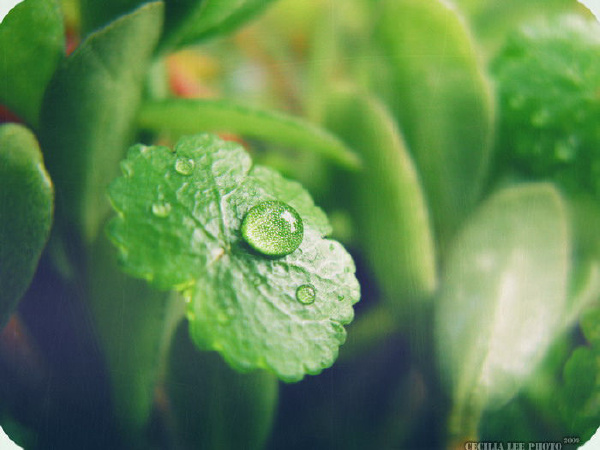 water