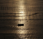 霞浦的早晨