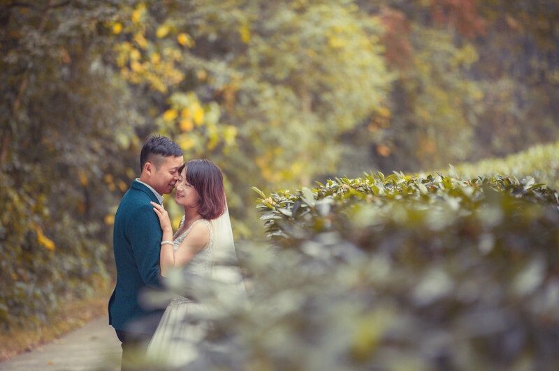 婚纱巴雷特_天命之子巴雷特婚纱(3)