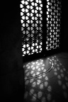 100APPLE_IMG_0055