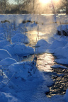 IMGP4475.jpg