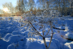 IMGP4484.jpg