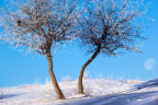 IMGP4493_2.jpg