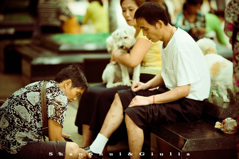 <em>擦皮鞋</em>和抱狗<em>的女人</em>@三峡广场 - 小兔子 - 图虫
