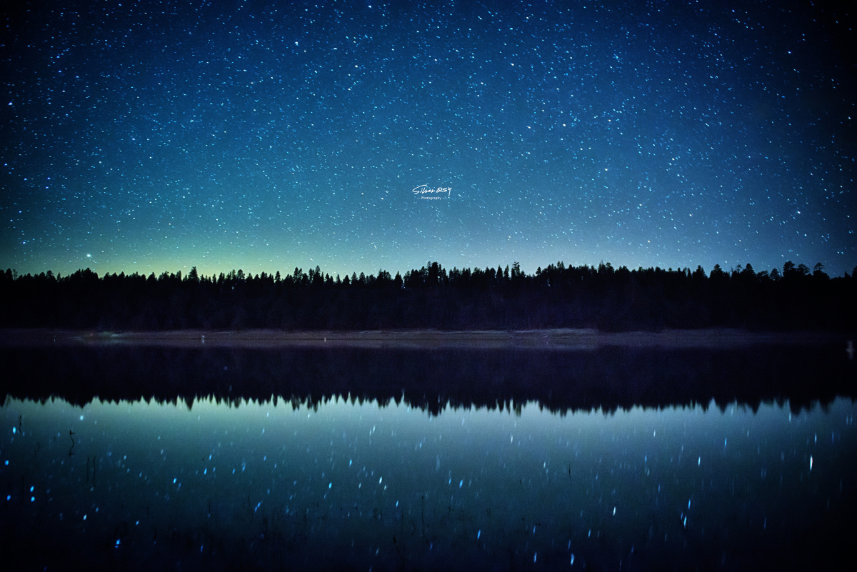 夜空中最亮的星谭维维