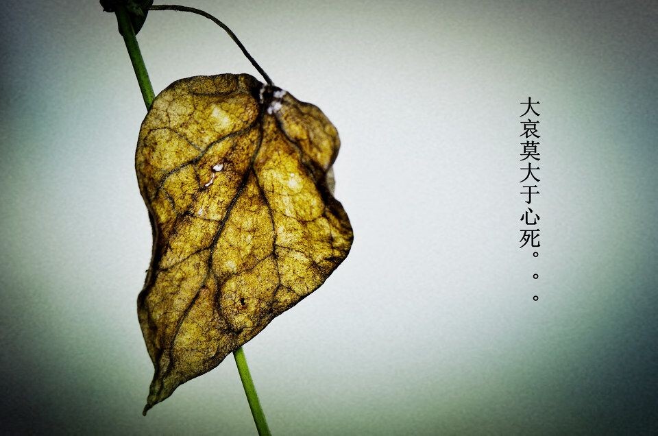 大哀莫大于心死.