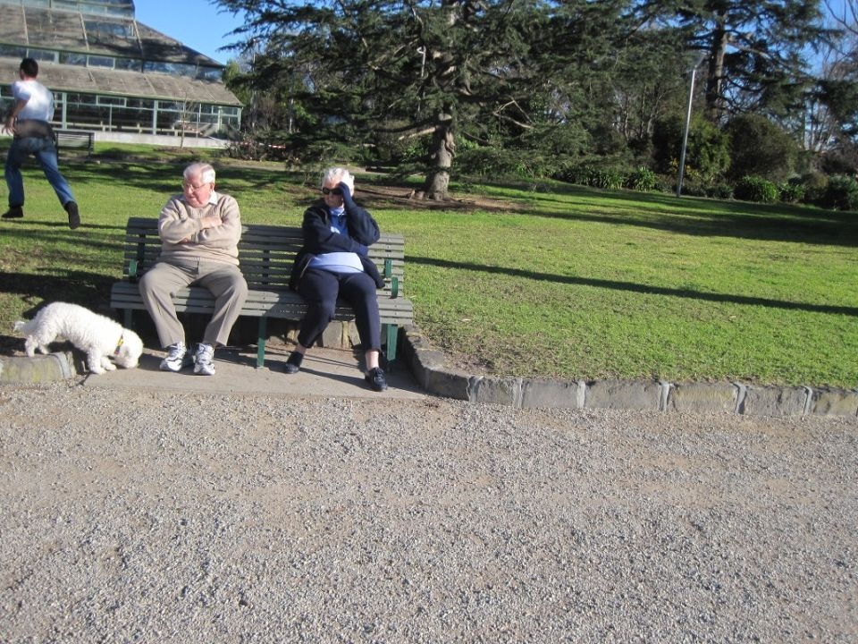 <em>sunny day</em> - 蜜糖Lily - 图虫摄影网