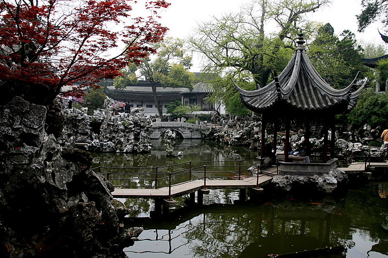 小园香径独徘徊 - 康乃馨