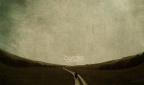 【Olive Tree】