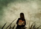【Olive Tree】